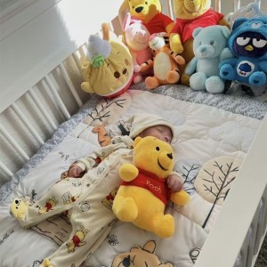 TÌM CHỊ CHĂM BÉ 10 THÁNG TUỔI, LƯƠNG 13.5 TRIỆU TẠI THẢO ĐIỀN QUẬN 2