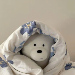 Nhà em cần gấp cô chăm bé ở chung cư Him Lam Nam Phú Quận 6 Lương 13 triệu ạ