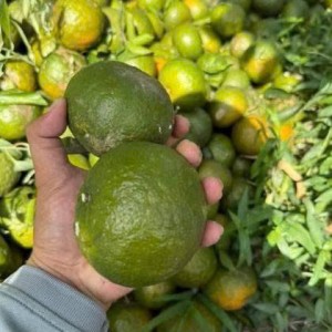 Tuyển 1 cô chuyên chăm bầu bao ăn ở lại ạ