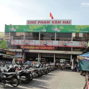 Tuyển Gấp Cô Giúp Việc Nhà