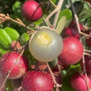 📣 CẦN GẤP 1 CÔ CHUYÊN CHĂM BÉ LH 0966529171