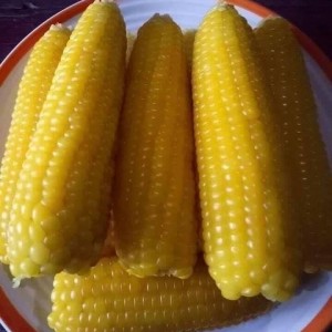 📢 TUYỂN GẤP CÔ CHUYÊN CHĂM BÉ – NHẬN VIỆC NGAY LH 0966529171