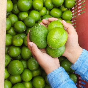 Cần Chị Giúp Việc Người Miền Nào Cũng Được Về Lo Việc Nhà Giúp Em 1 Tay Nha.