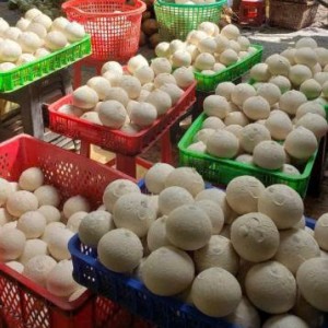 Gia đình em cần gấp ạ