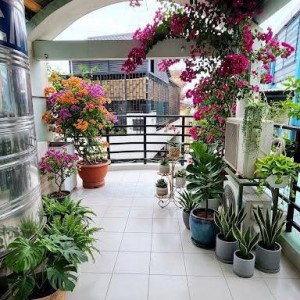 Còn Đăng Là Còn Tuyển Nha Các Chị Gái Xinh Đẹp Ơi !