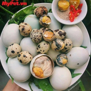 Em Đang Cần Tìm Người Giúp Việc Nhà Cho Gia Đình Em Có 1 Lầu