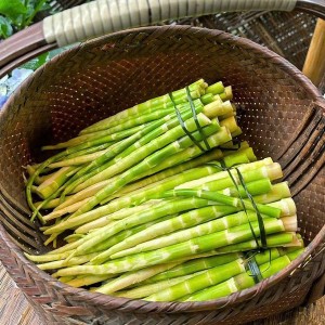 Cần gấp 1 chị chuyên chăm bé 1 tuổi  bao ăn ở lại