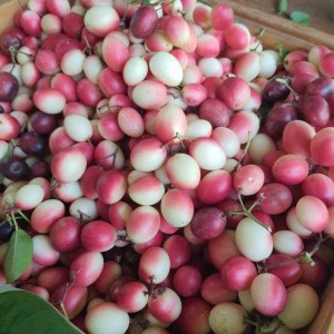Gia đình em đang tuyển gấp ạ