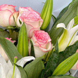 Cần Tuyển Chị Giúp Việc Bao Ăn Ở Lại Tại võ Thị Sáu Quận 3 