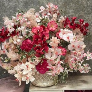 Tuyển gấp 1 cô nấu ăn ngon ạ