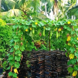 GIA ĐÌNH TOÀN NGƯỜI LỚN HIỆN ĐANG Ở TRÊN ĐƯỜNG LÝ CHÍNH THẮNG QUẬN 3. TÌM CÔ GIÚP VIỆC (BAO ĂN Ở)