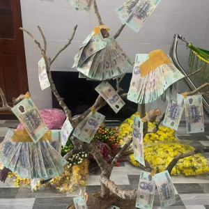 Nhà E Đang Tìm Người Giúp Việc Làm Ăn Ở Lại Gd Luôn !!