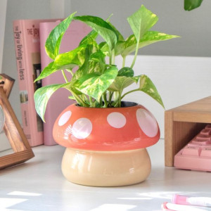 Cần 1 Cô Về Làm Việc Nhà Cho Gd 4 Người Hiện Đang Ở Nhà 1 Lầu Nhỏ Ở Gần Nhà Thờ Phao-Lô.