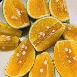 Gia đình em đang tuyển gấp ạ