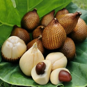 📢 Cần Gấp Cô Chăm Bé 6 Tháng Lh 0966529171