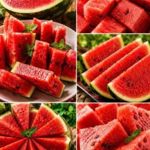 Cần người làm vườn ạ