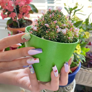 Gia Đình toàn Người Lớn Thường Xuyên Đi Công Tác Cần Cô Về Phụ Giúp Việc Nhà