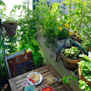 Nhà Mặt Phố Có 1 Trệt 1 Lầu Nằm Trên Đường Võ Văn Kiệt Quận 5 Cần Gấp Cô Giúp Việc Cho Nhà 4 Người Lớn