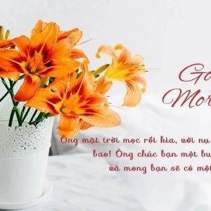 Tìm người giúp việc nhà (Ở LẠI) - lương 14tr - Q.1