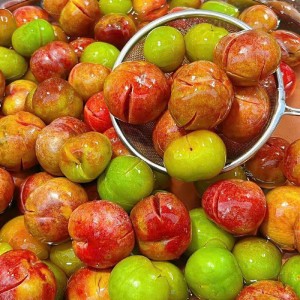 Cần gấp 1 chị chăm bệnh  , nhà cấp 4 tại Tiền Giang