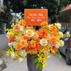 Tuyển gấp 1 cô chuyên chăm bé 10 tháng đi làm bao ăn ở lại ạ