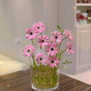 Lương 11triệu. Cần Tuyển Gấp 1 Chị Giúp Việc Về Lo Com Nước