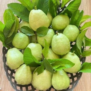 Em cần gấp cô giúp việc nhà bao ăn ở lại ạ