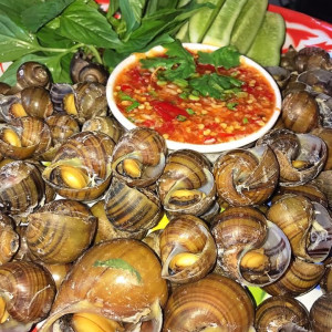 𝐌𝐮̛́𝐜 𝐥𝐮̛𝐨̛𝐧𝐠 𝟏𝟏 𝐭𝐫𝐢𝐞̣̂𝐮 𝐜𝐨́ 𝐛𝐚𝐨 𝐚̆𝐧 𝐨̛̉ 𝐥𝐚̣𝐢, 𝐜𝐨́ 𝐜𝐡𝐢̣ 𝐧𝐚̀𝐨 𝐧𝐡𝐚̣̂𝐧 𝐯𝐢𝐞̣̂𝐜 đ𝐢 𝐥𝐚̀𝐦 𝐧𝐠𝐚𝐲 𝐤𝐡𝐨̂𝐧𝐠 𝐚̣ !!!