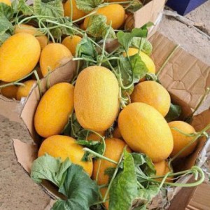 Tuyển Gấp 1 Cô Chuyên Dọn Dẹp Nhà Ạ